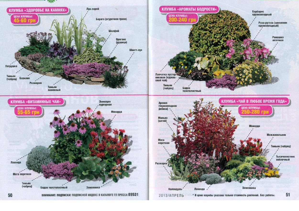 Альпийская горка с названием растений