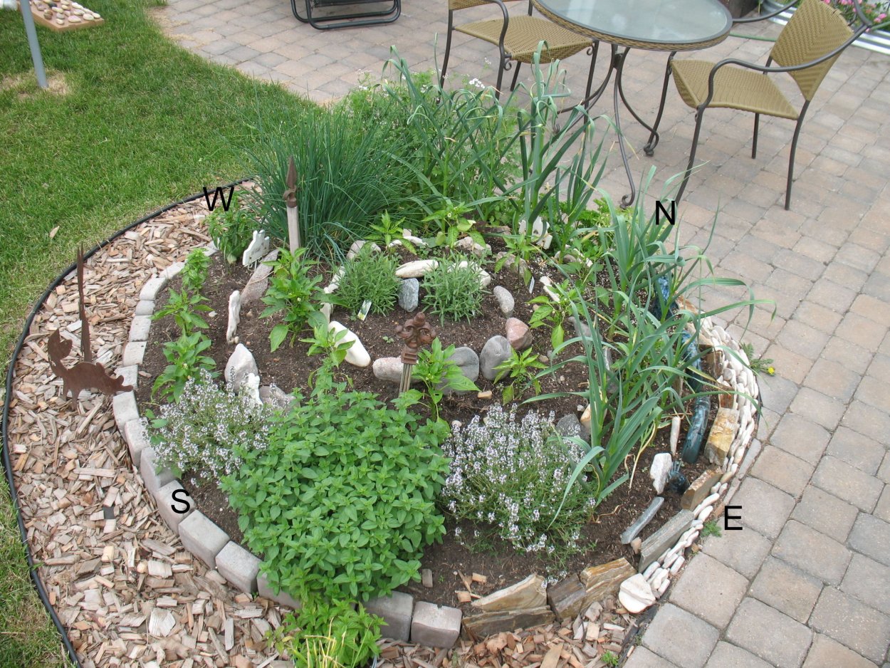 Клумба с пряными травами