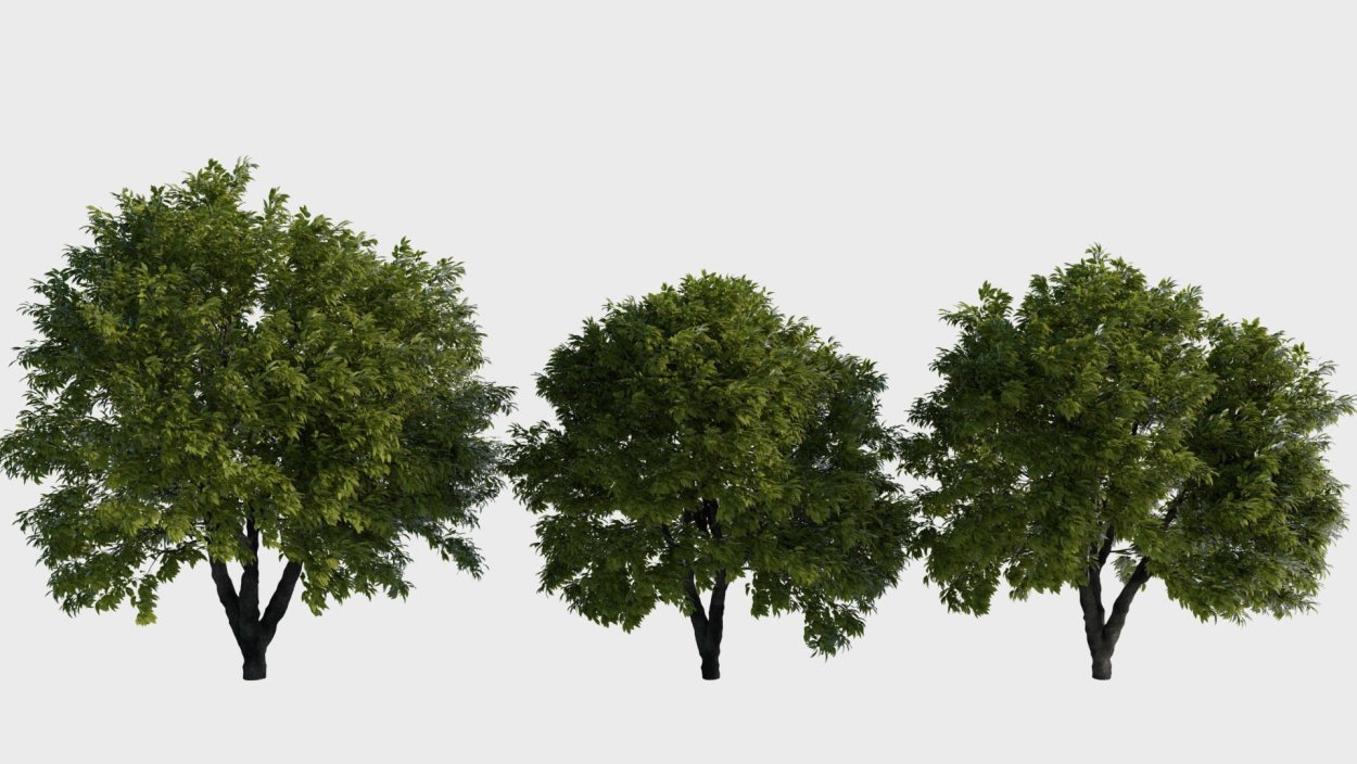 Деревья для визуализации