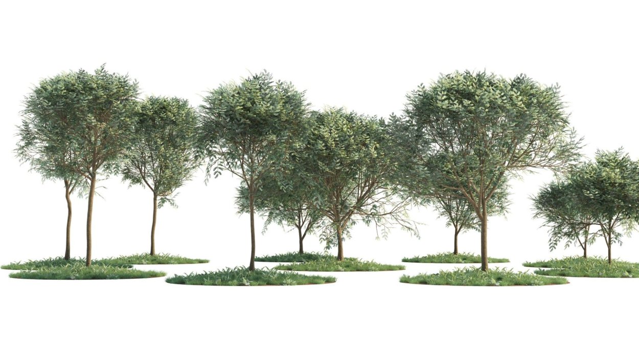 Деревья для визуализации архикад