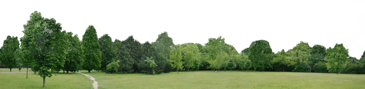 Деревья на заднем плане