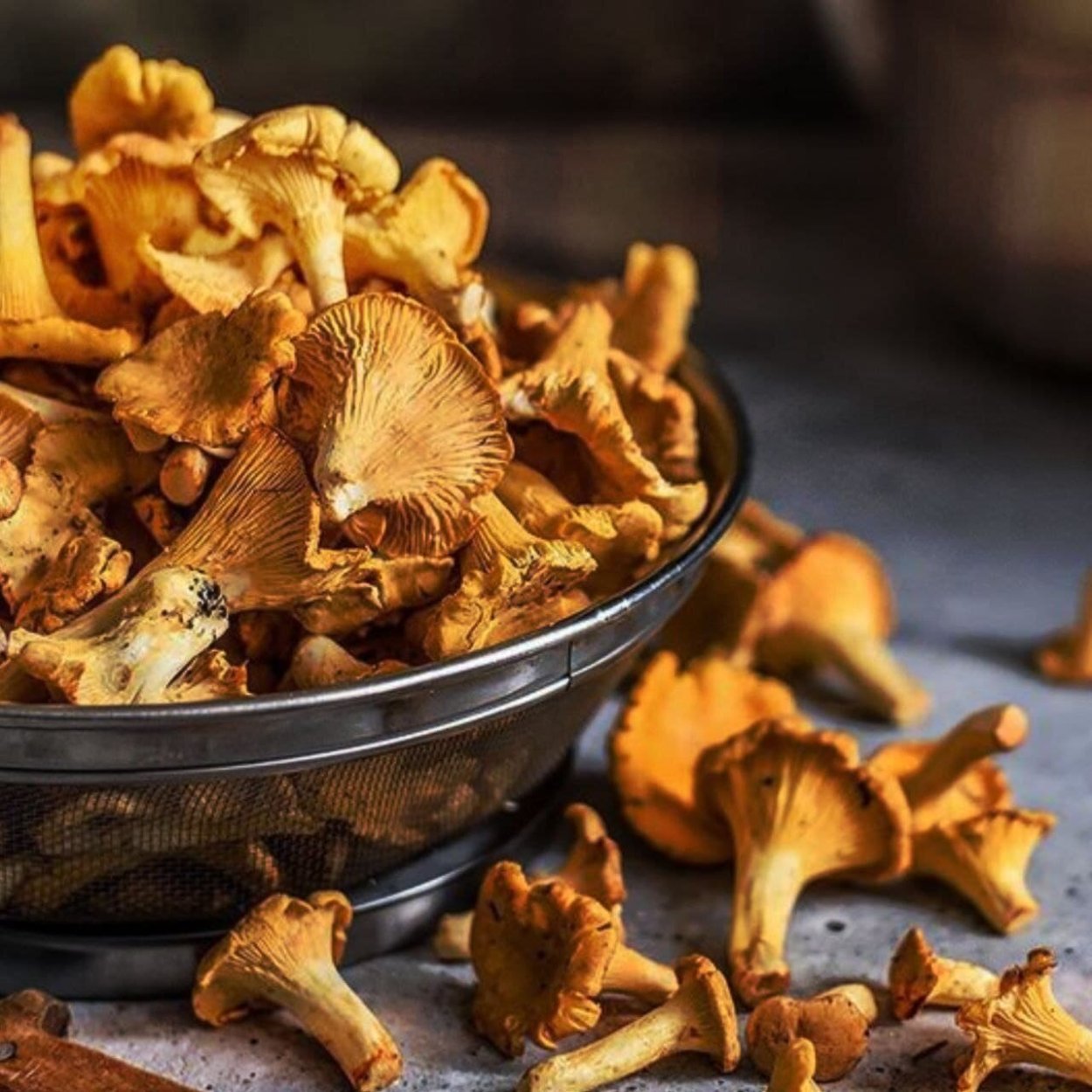 Лисички грибы красиво стол