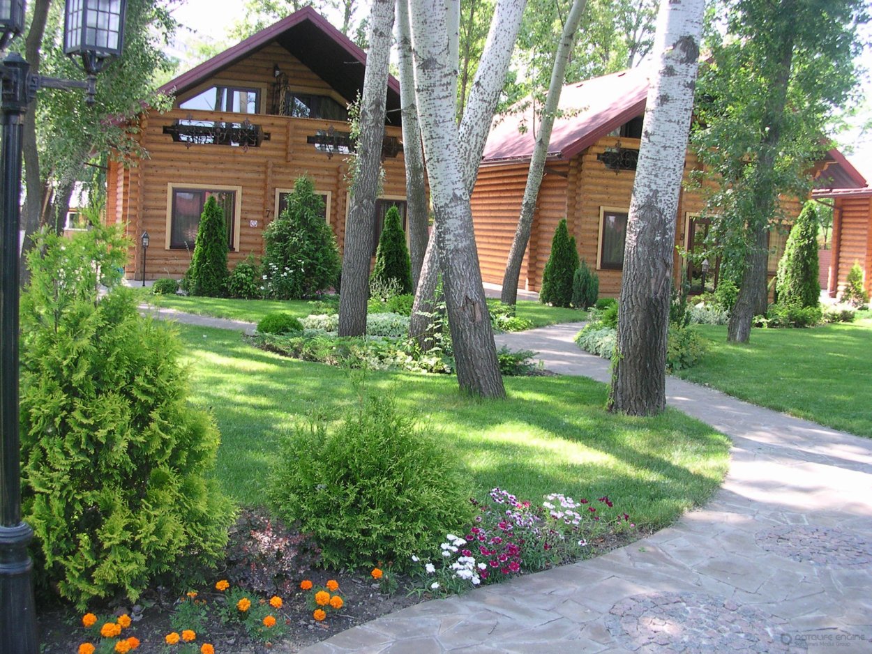 Ландшафт лесного участка с березами