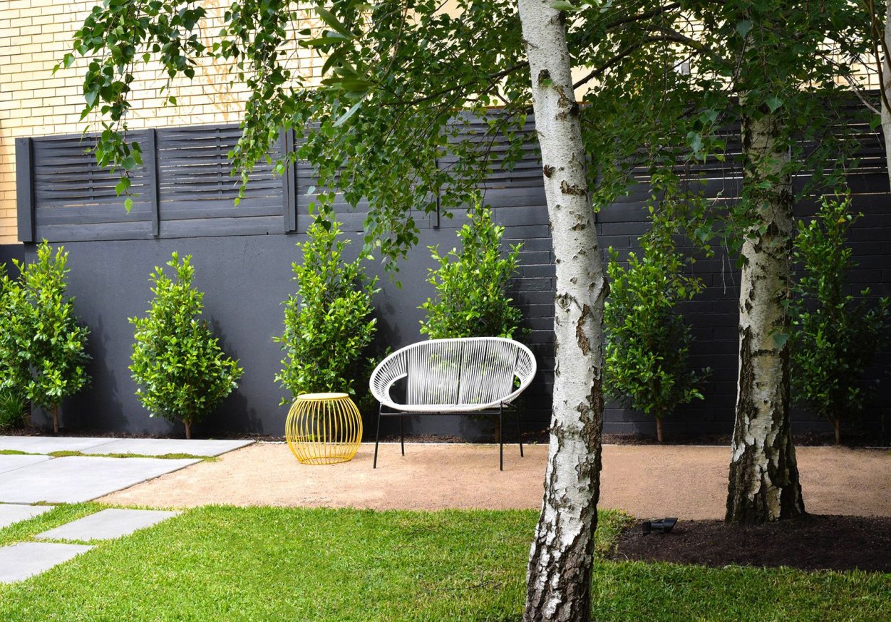 Береза повислая в ландшафтном дизайне