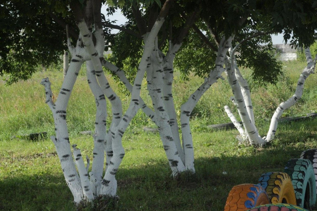Покраска столбов под березу