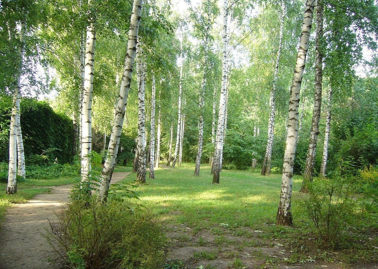 Роща Декабристов Ялуторовск