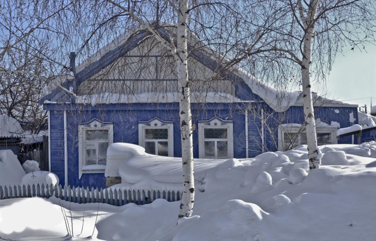 Береза зимой рядом с деревенским домом