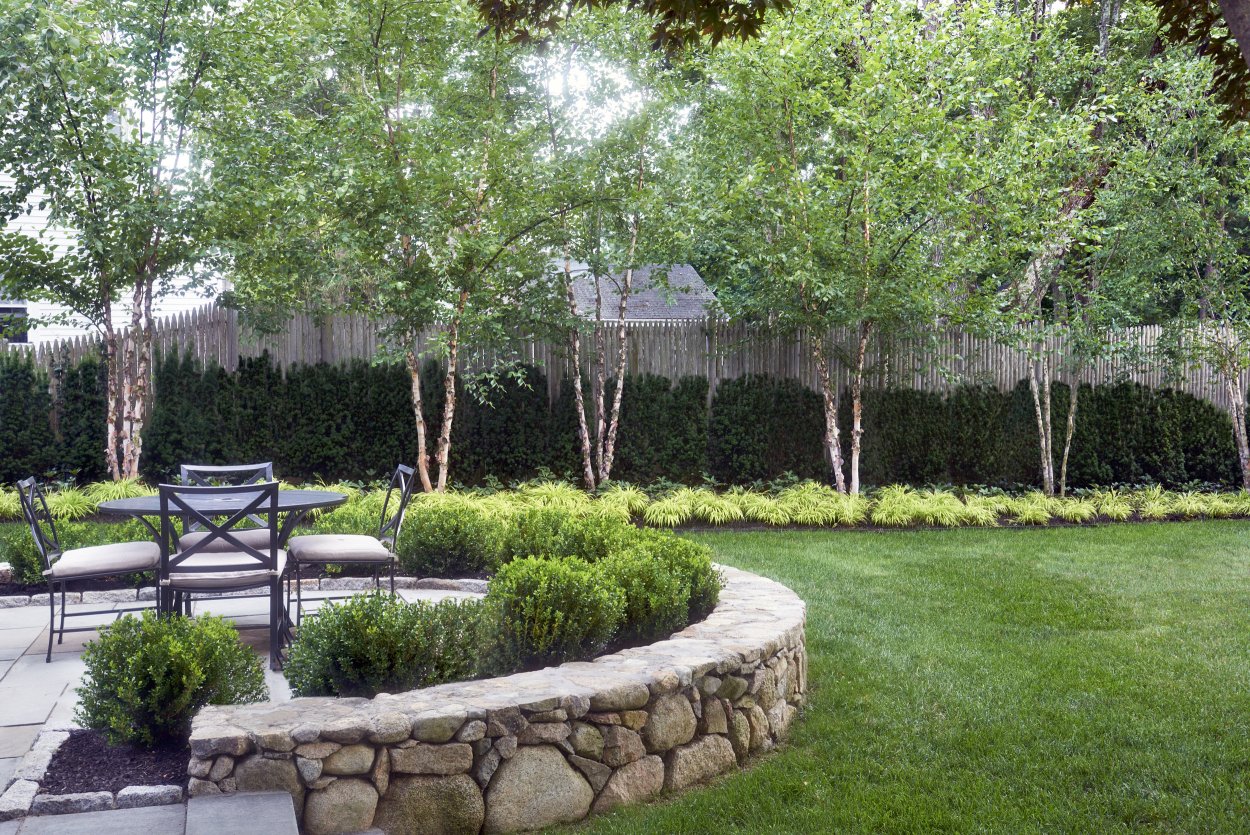 Насаждения по периметру участка