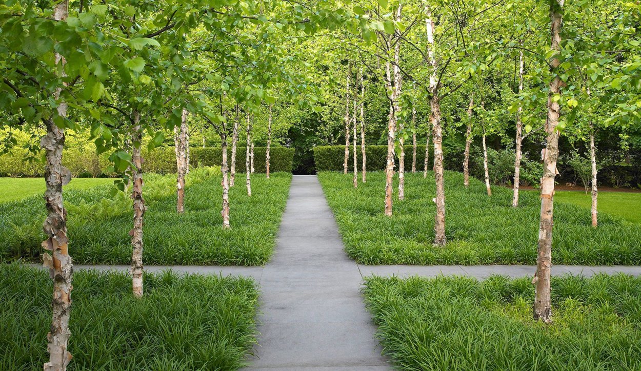 Лиственная роща в современном ландшафтном дизайне