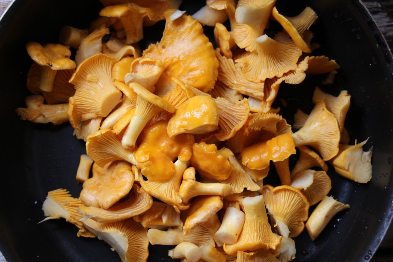 Лисичка ворончатая