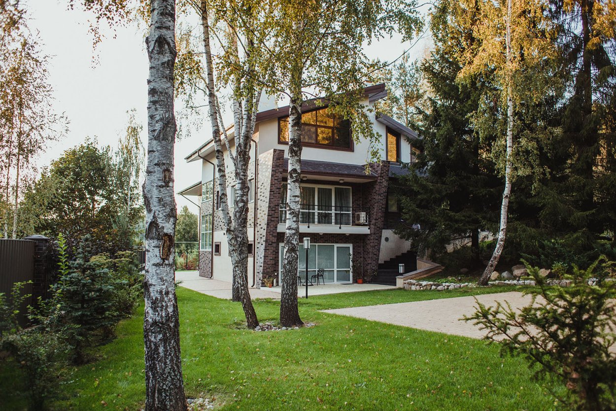 Березы на участке