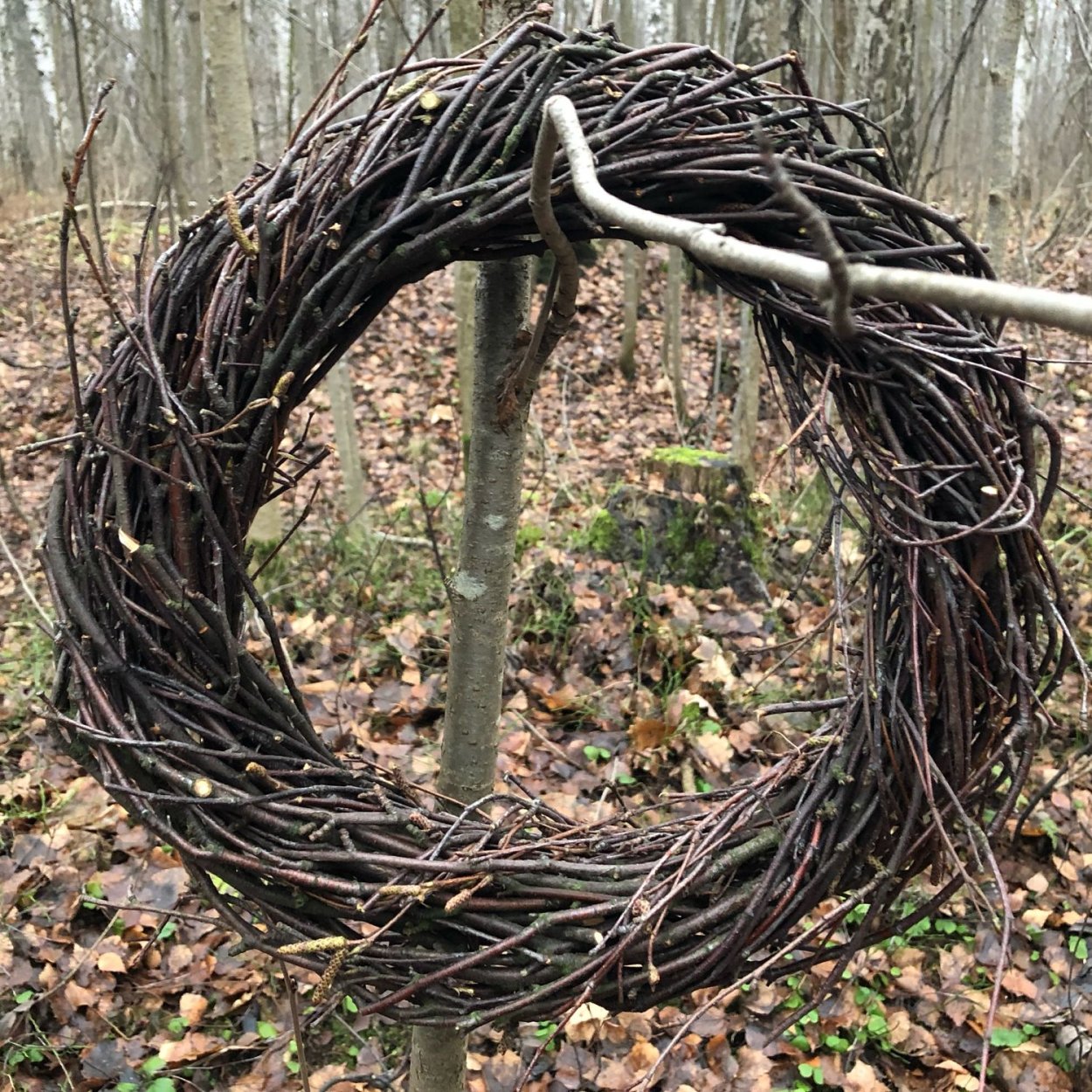 Венки из березовых веток