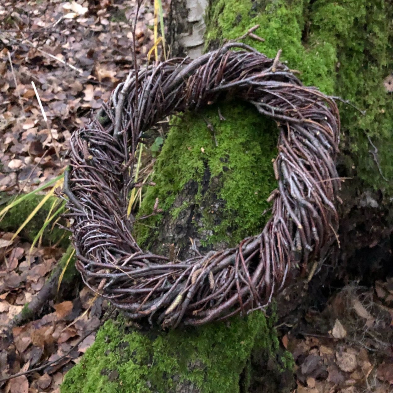 Венок из березовых веток