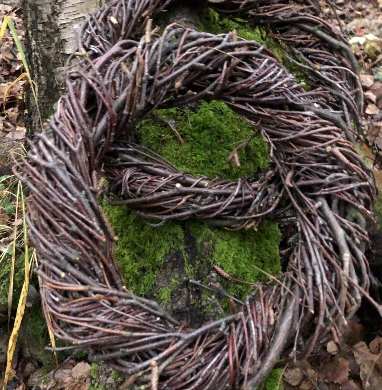 Венки из березовых веток