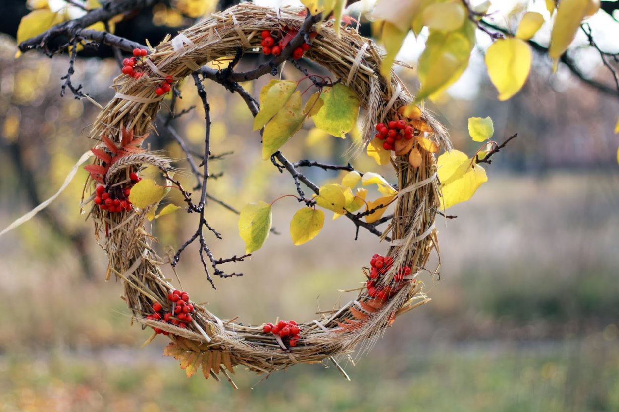 Венки из березы