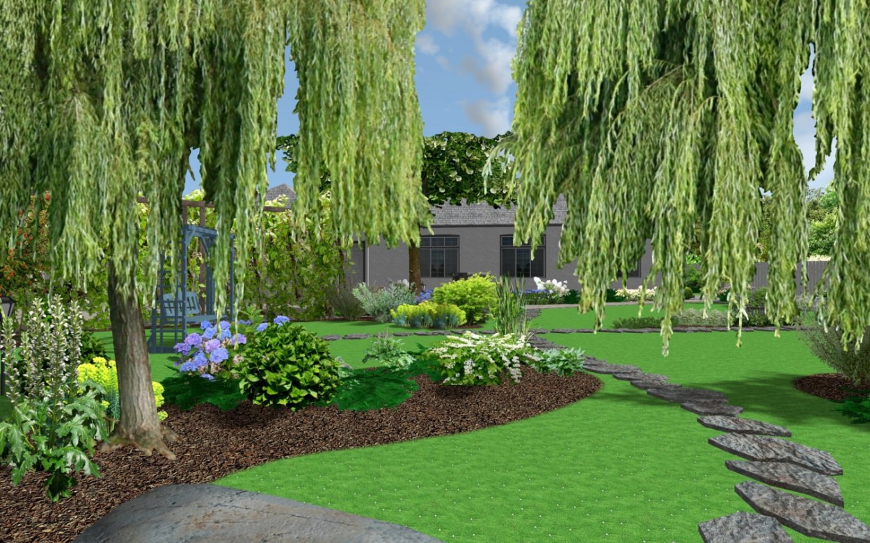 Декоративная берёза комнатная