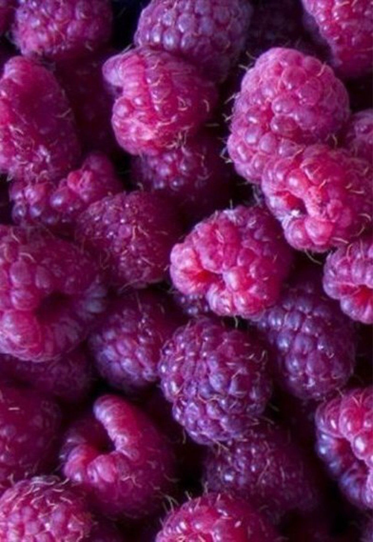 Малина Парпл