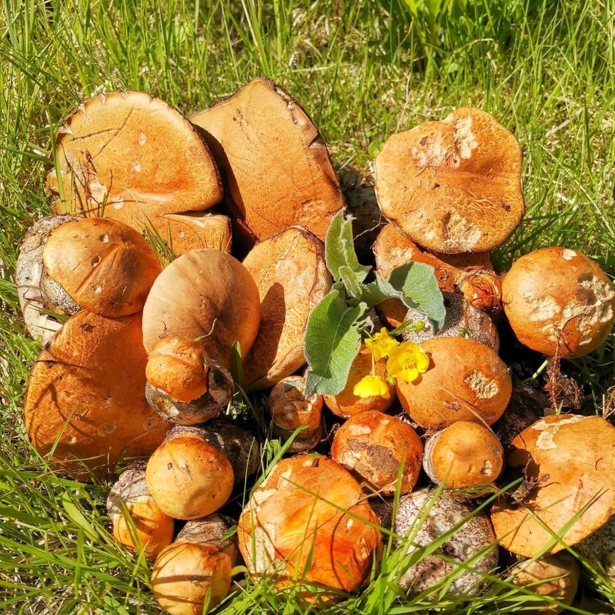 Кольский полуостров и Таймыр