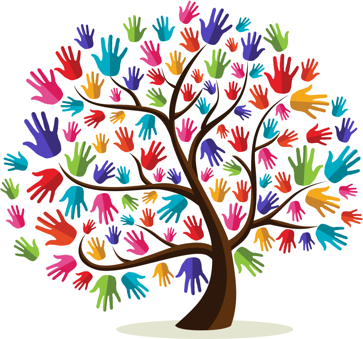 Растения с цветными листьями