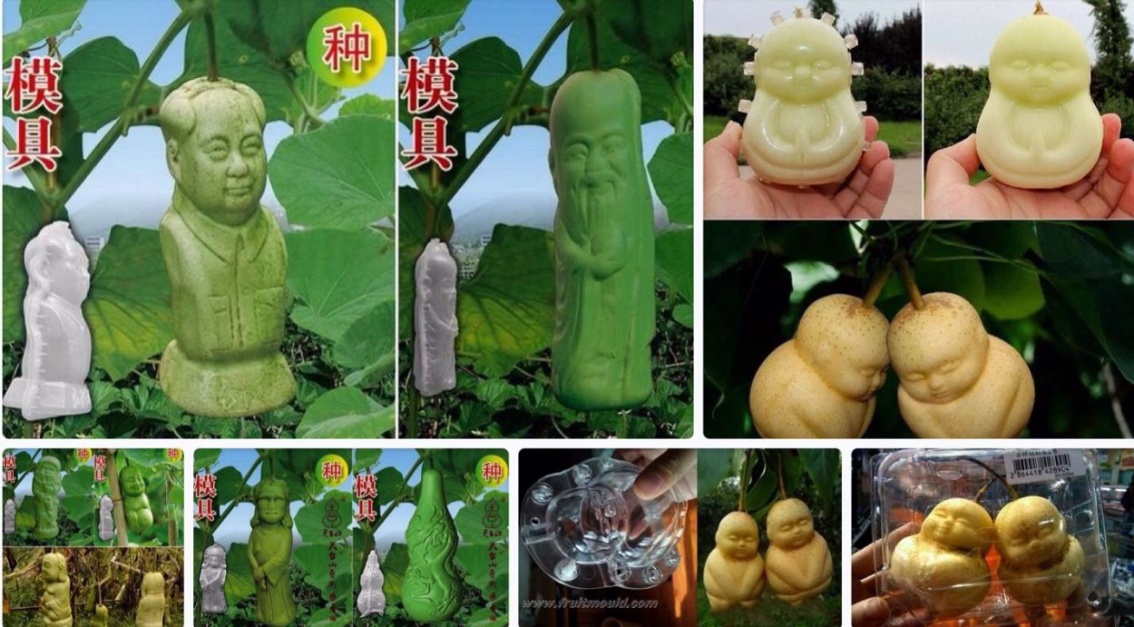 Груша в форме Будды