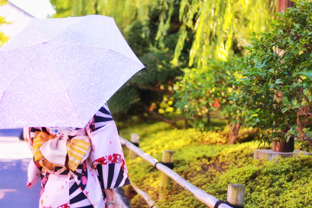 Зонтичные кашка Полевая