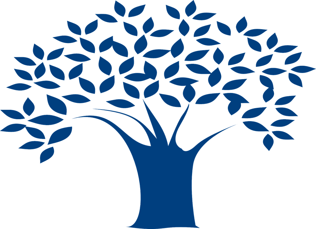 Небо сквозь ветки деревьев