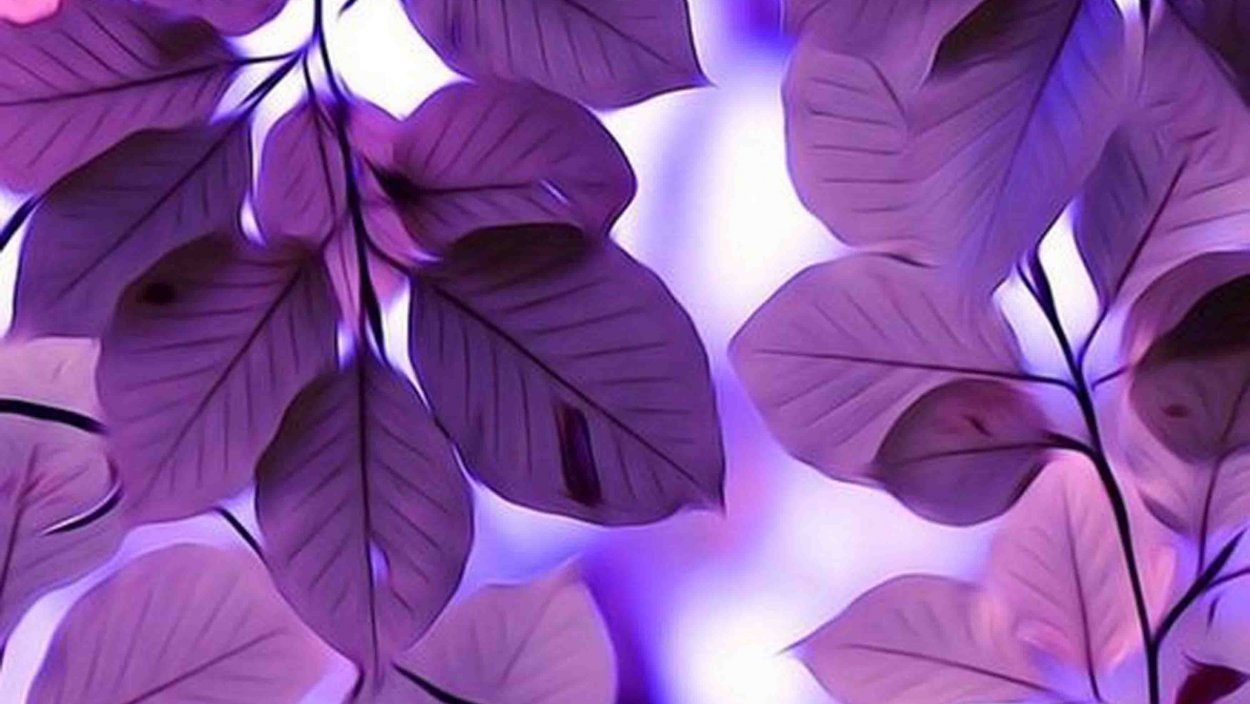 Голое дерево на голубом фоне