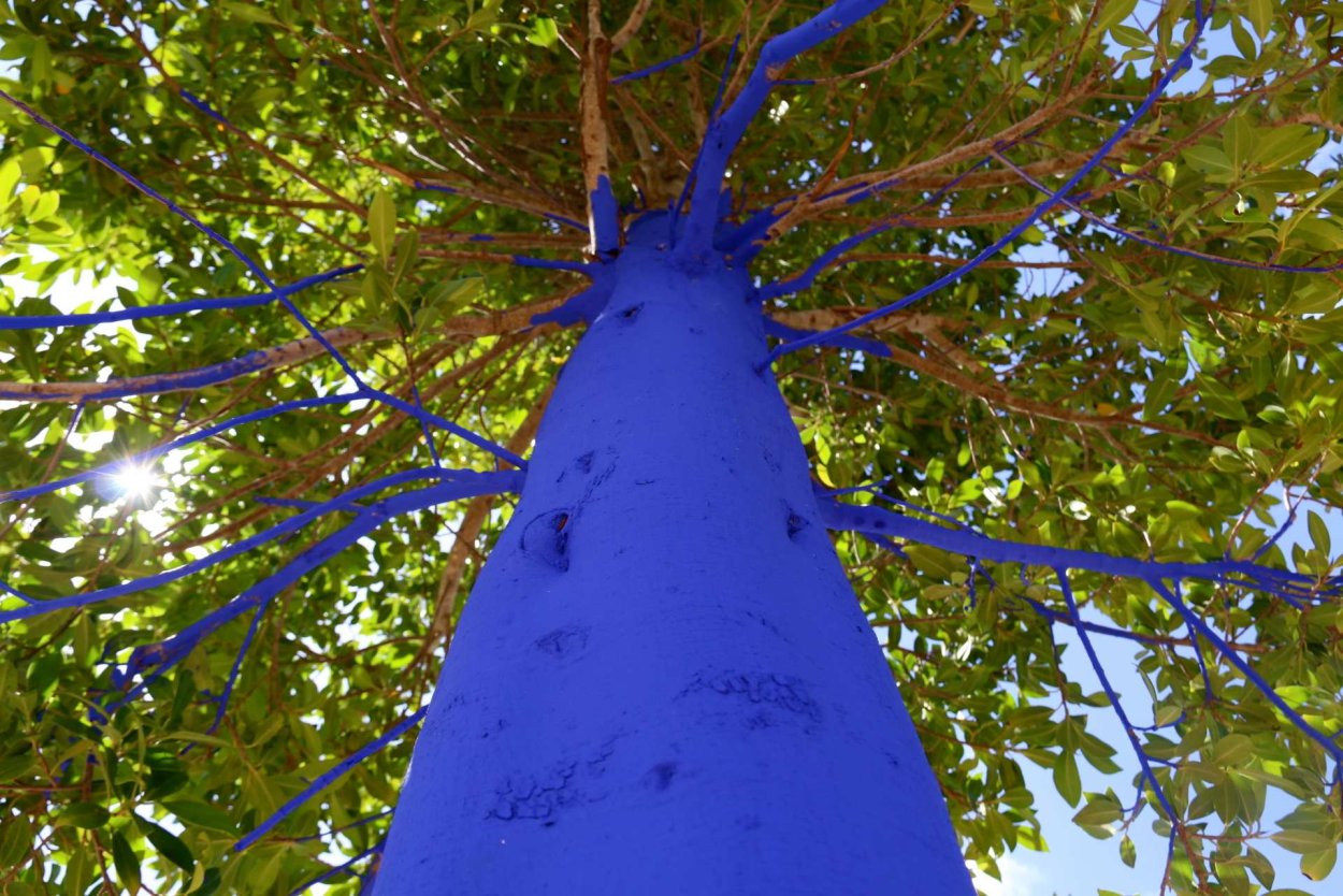 Белое дерево на синем фоне