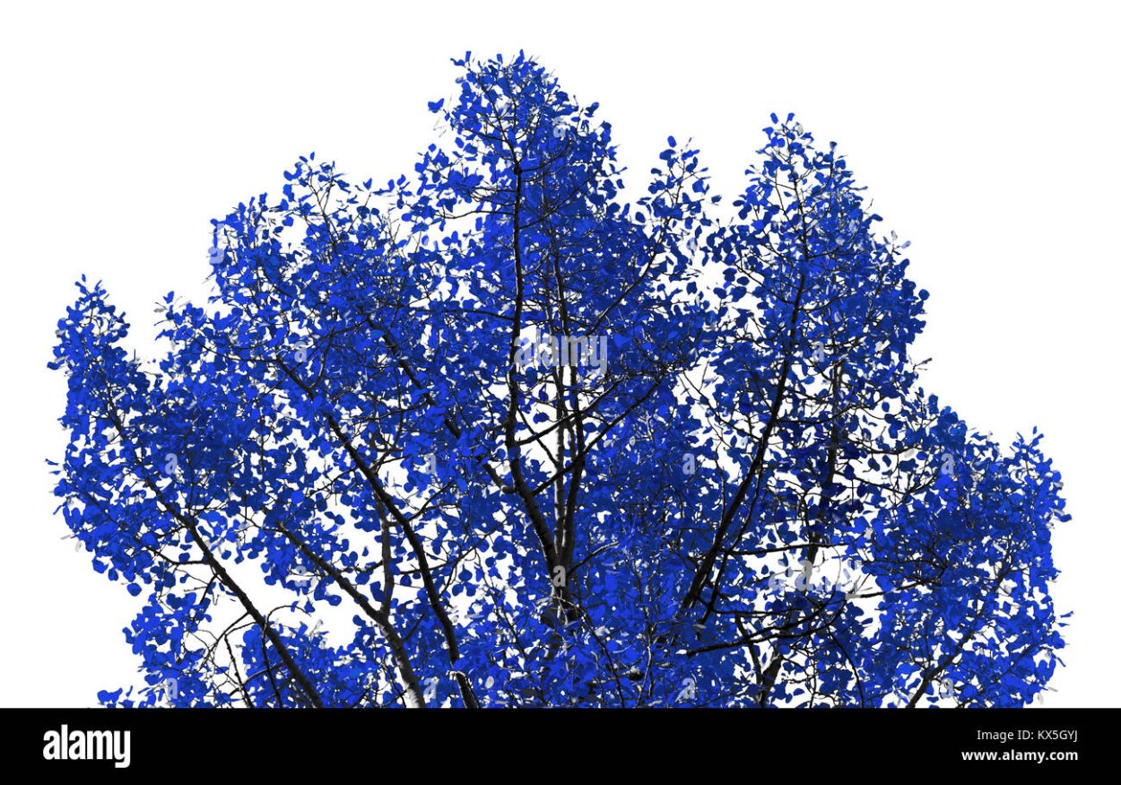 Искусственные деревья синие