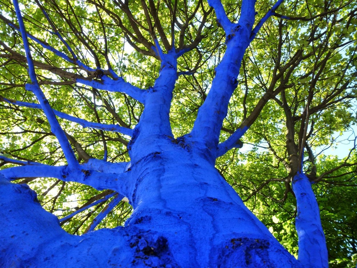 Векторные голубые зимние деревья