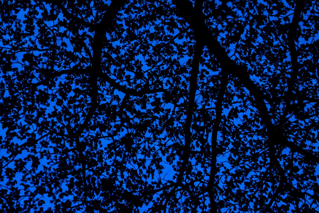 Эстетика перпл