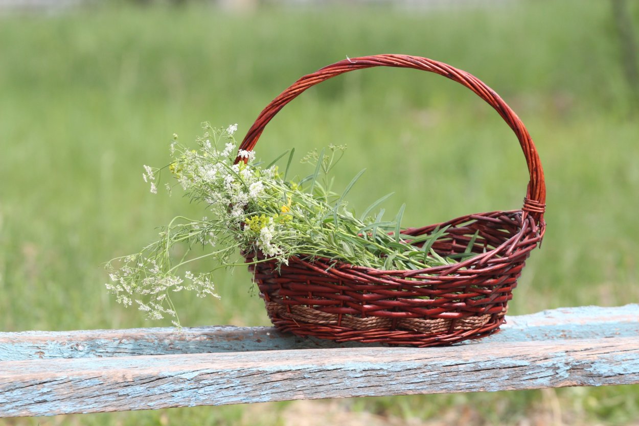 Замок Тридевятого царства Иван Царевич