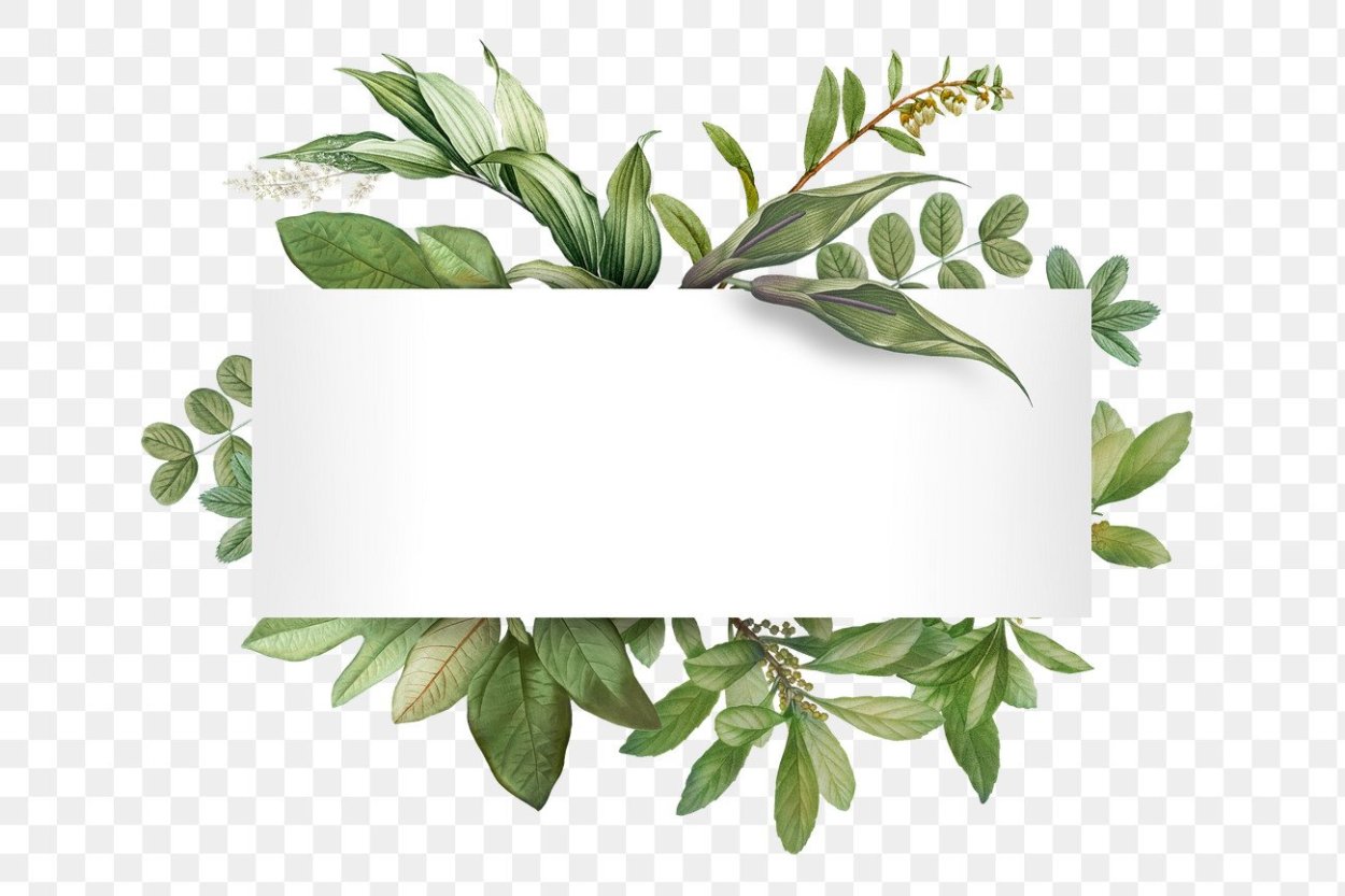 Трава для диабетиков