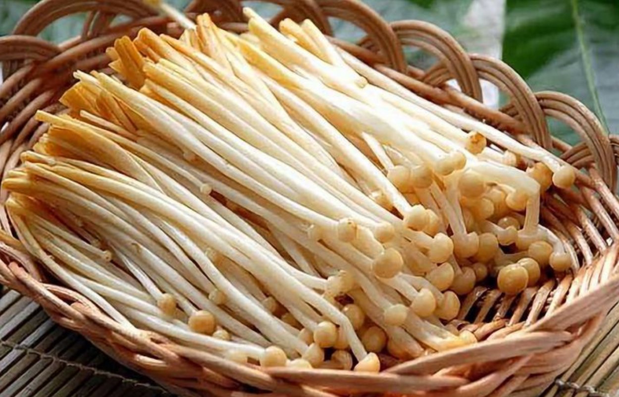 Китайские грибы Эноки