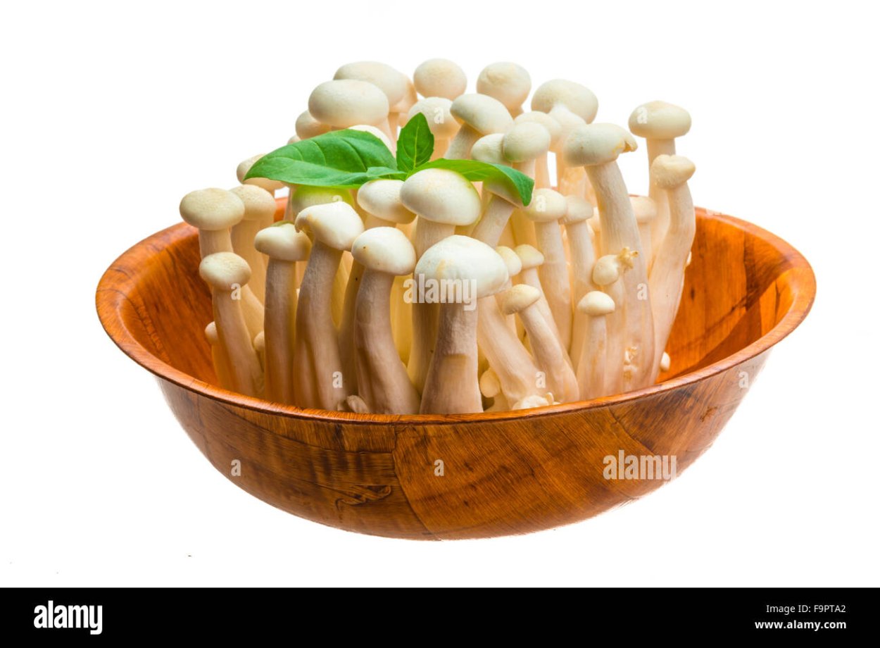 Эринги. Вешенка Королевская.