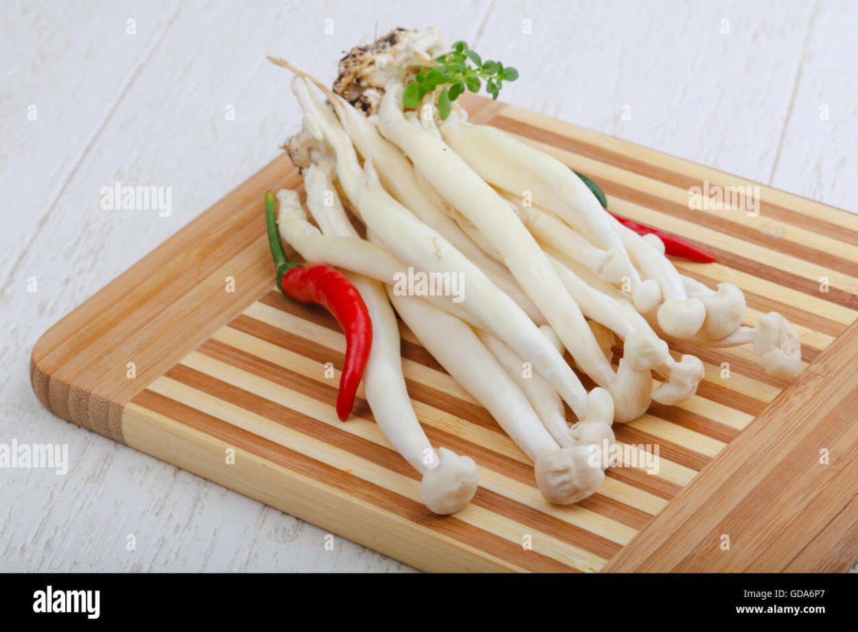 Грибы Еринги семена