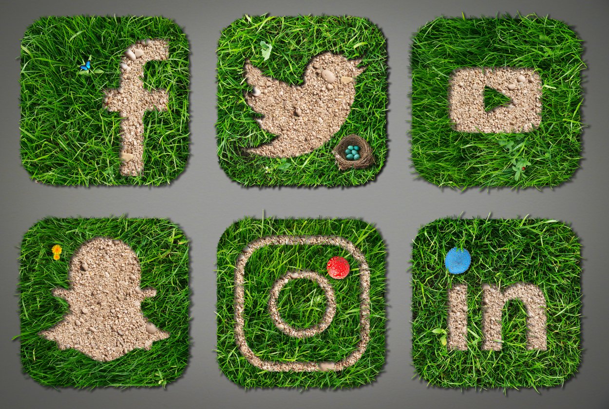 Трава сверху