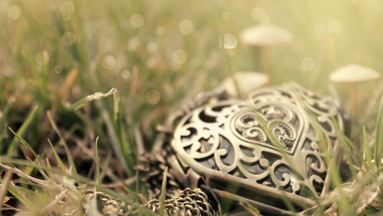 Драгоценности в траве арт