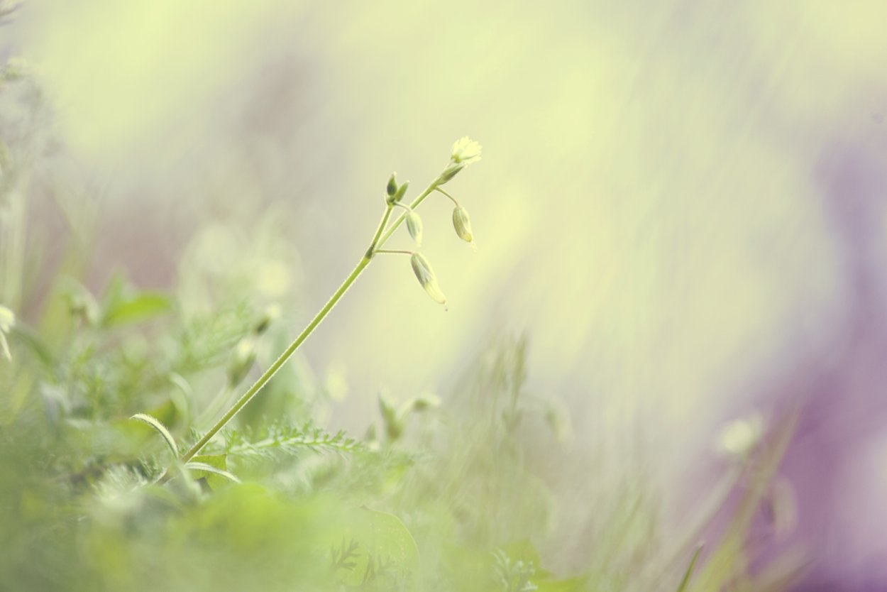 Спокойный фон