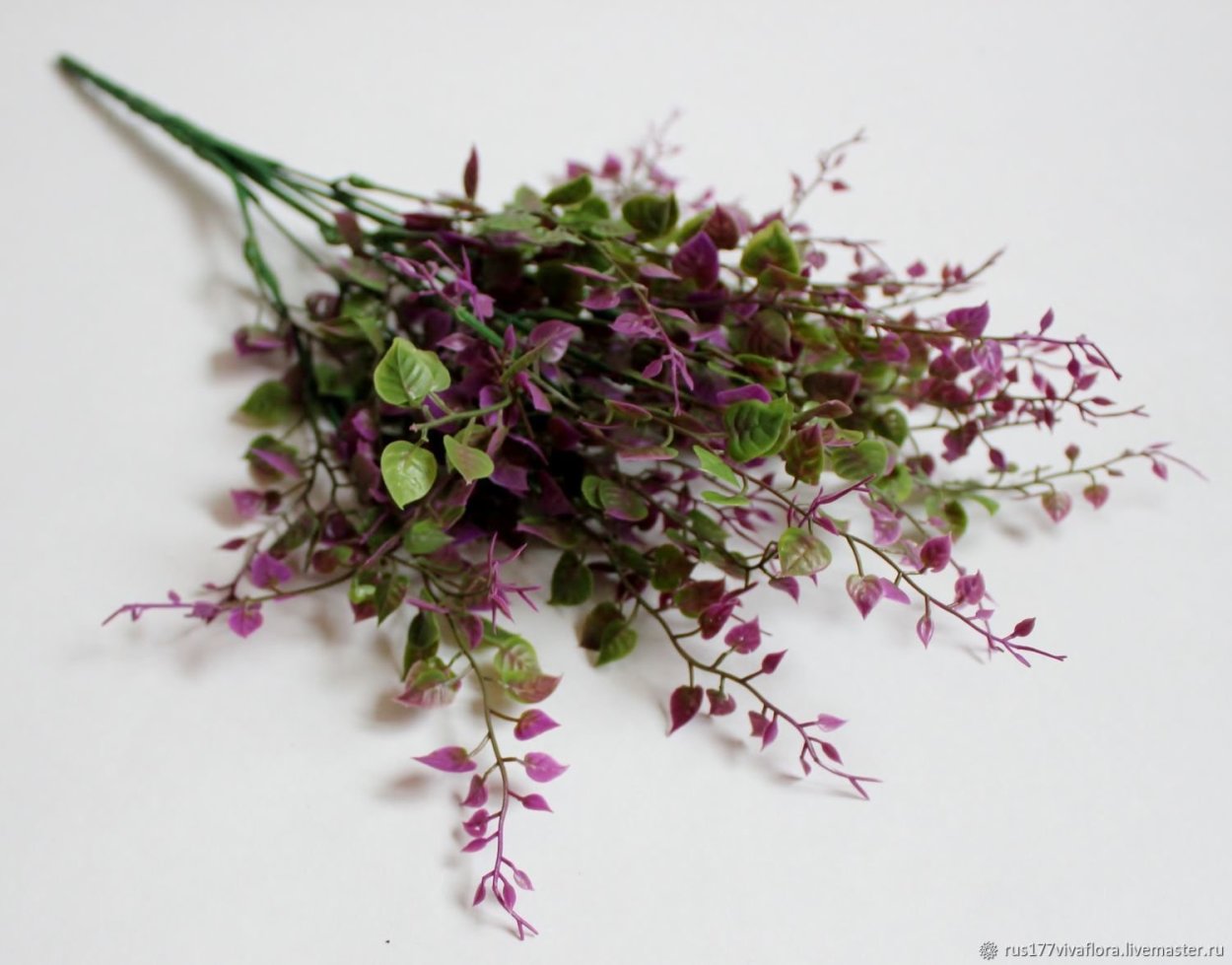 Зелень Чико флористика