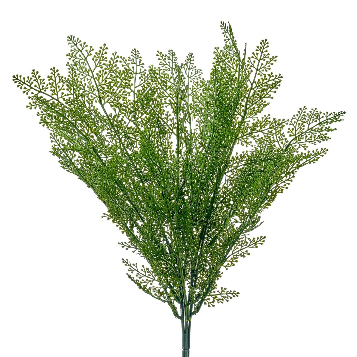 Триферн зелень в букете