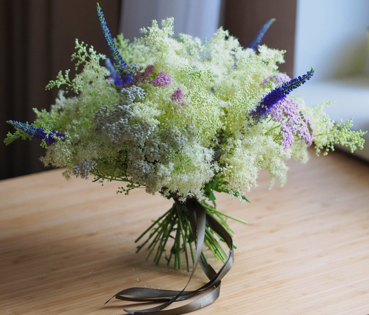 Трахелиум сухоцвет