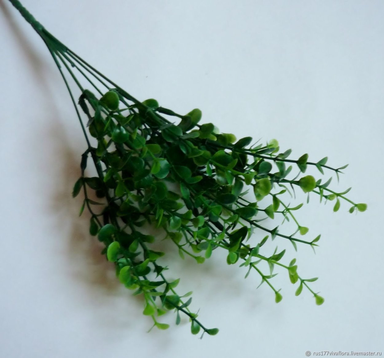 Лазар зелень для букетов