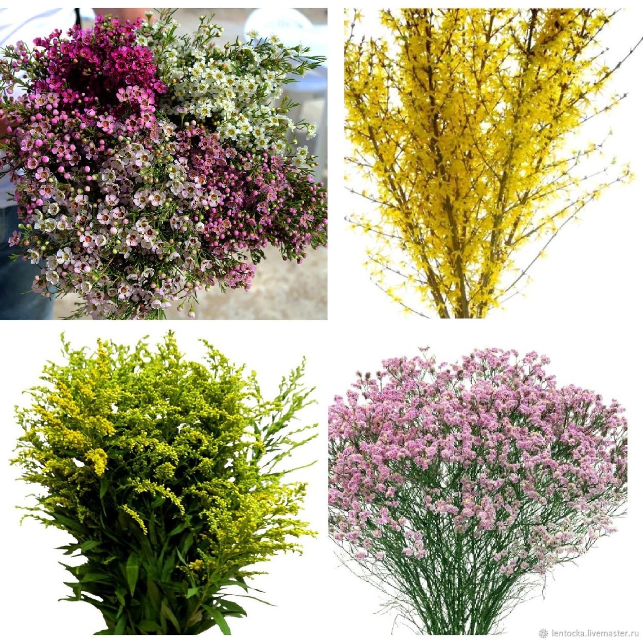 Декоративные растения для букетов