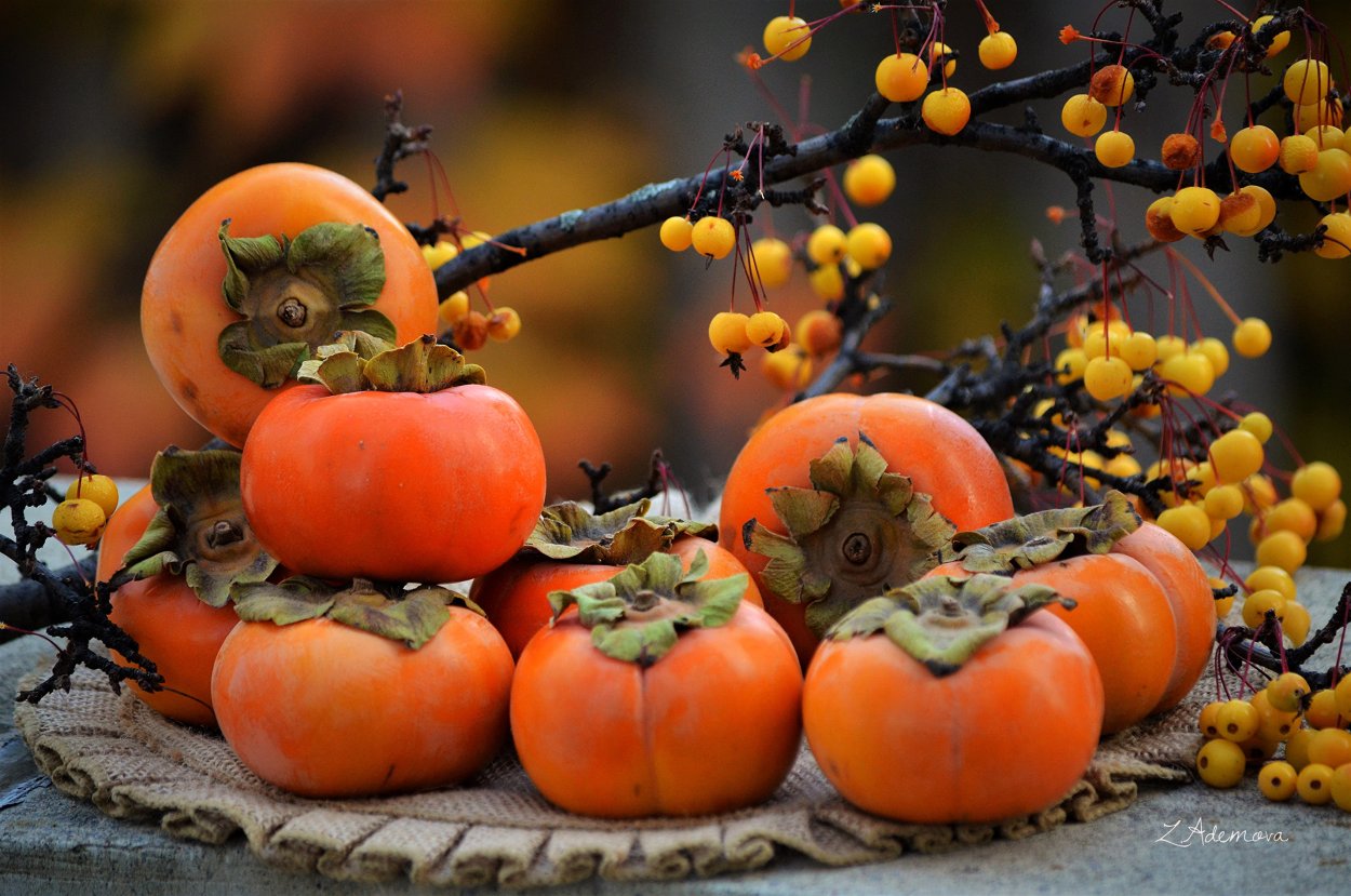 Шарон («яблочная хурма»)