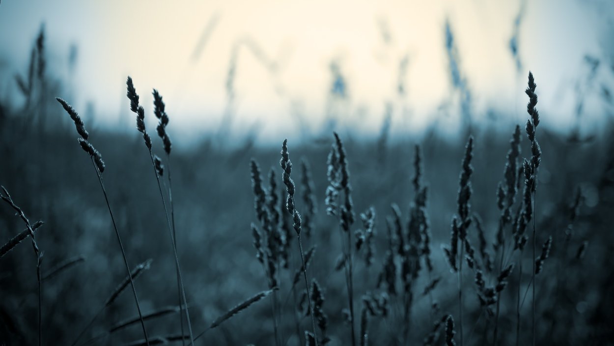 Природа зелень