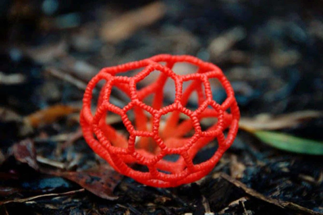 Австралийский гриб пальцы дьявола