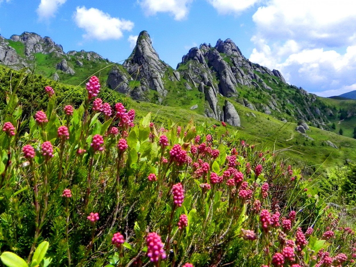 Таганай Альпийские Луга
