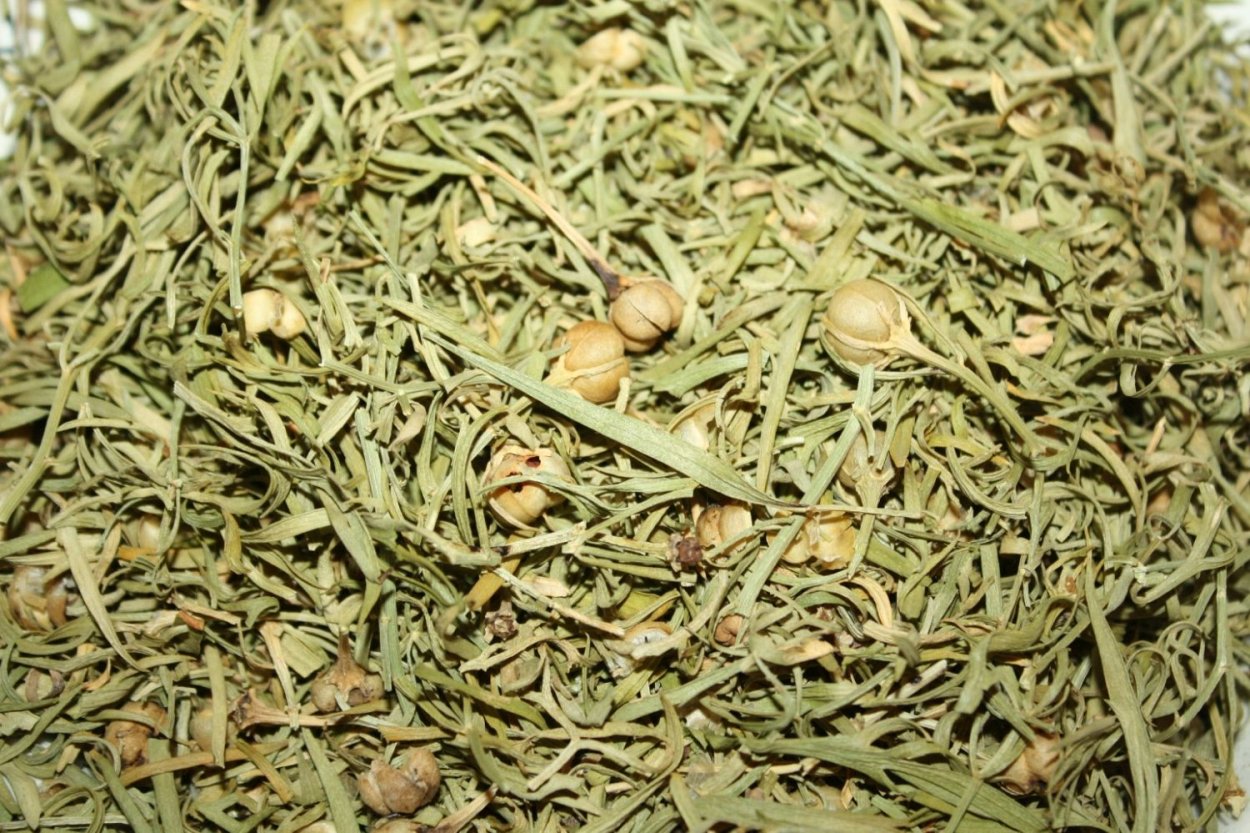 Гармала ВЕДЬМИНА трава