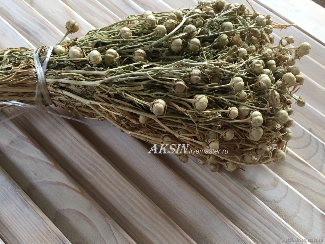 Гармала могильник